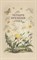 Бианки В.В. - Четыре времени года. Книга для воспитателя детского сада. 1949 год. - фото 215933