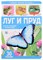 Первые знания малыша(с окошками). Луг и пруд - фото 217110