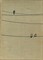 Ильф И., Петров Е. - Тоня | Рассказ. - 1959 - фото 224621