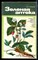 Рубцов В.Г. - Зеленая аптека - 1984 - фото 226911