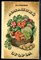 Смирнов Н.А. - Домашний огород - 1984 - фото 227394