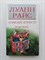 Луанн Райс. - Созвездие верности. | Романы Луанны Райс. - 2007 - фото 235241