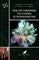 В.Ф. К.Я. - Лекарственные растения в гинекологии - 2023 - фото 240804
