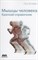 Блэйки П. - Мышцы человека. Краткий справочник - 2022 D017638 - Р